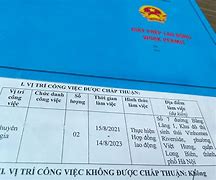 Đảng Viên Muốn Đi Lao Động Nước Ngoài Cần Giấy Tờ Gì