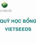 Học Bổng Vietseeds 2022 Là Gì Tốt Không