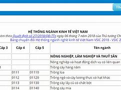 Mã Ngành Kinh Doanh 6202