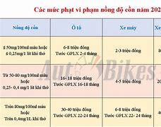 Mức Phạt Nồng Độ Cồn Đối Với Xe Đạp